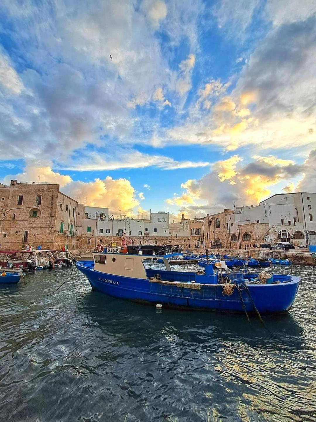 فيلا Donna Fede مونوبولي المظهر الخارجي الصورة